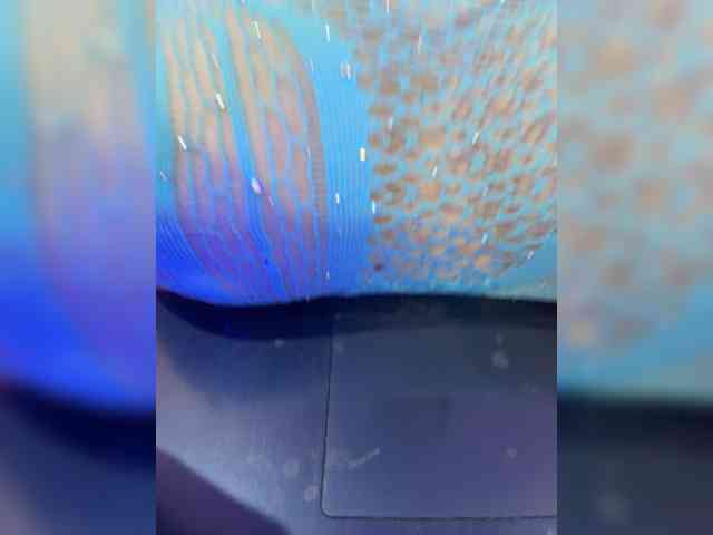 AprilRosse webcam