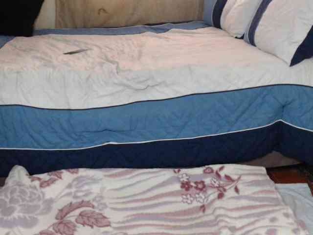 Prettybkack25 Sex Cam Show