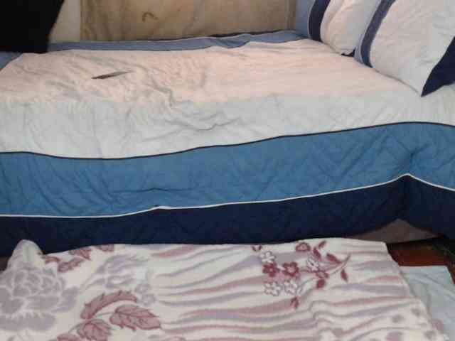 Prettybkack25 Sex Cam Show
