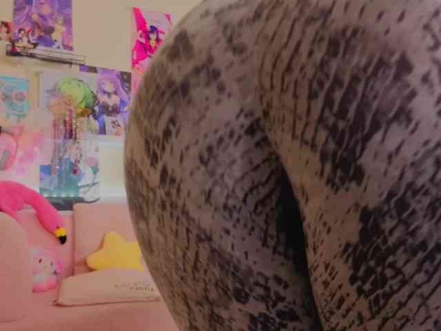LunaRishi webcam