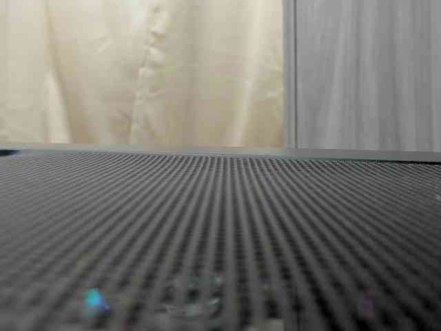 Aylin-Rose webcam