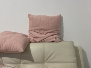 TaylorKnapp Porn Show