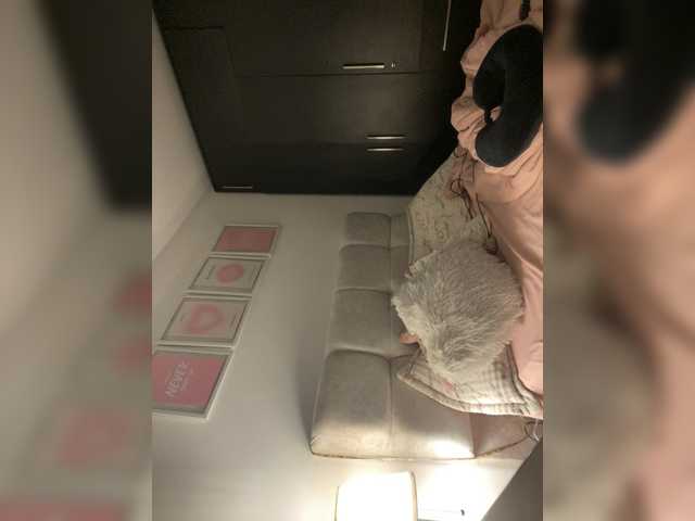 TaylorKnapp live cam on BongaCams