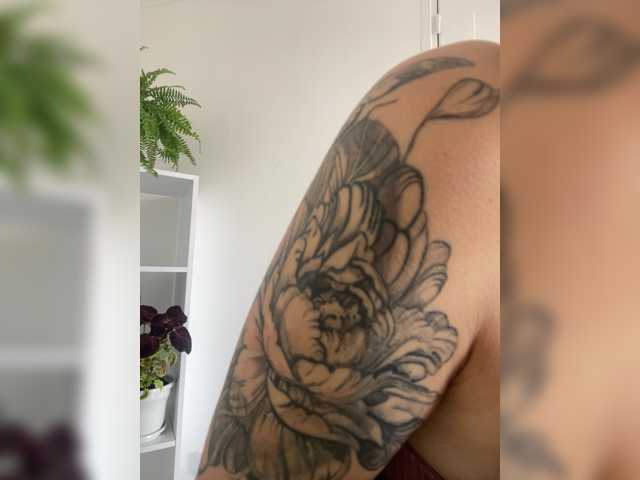 TaylorKnapp live cam on BongaCams