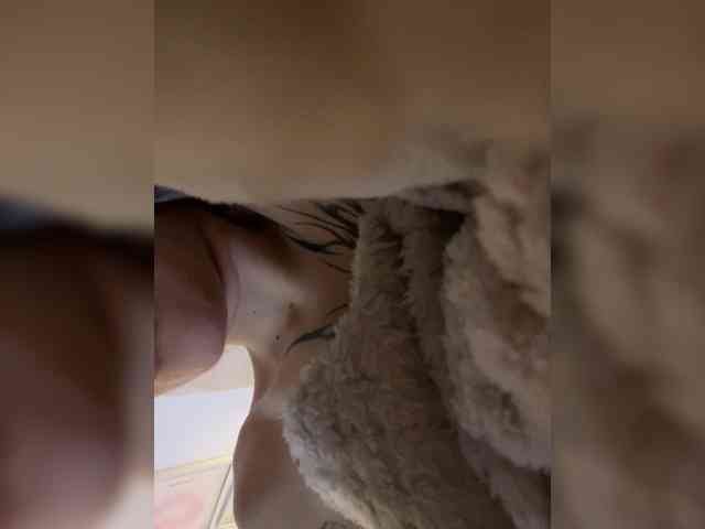 TaylorKnapp webcam