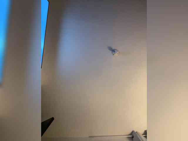 TaylorKnapp webcam