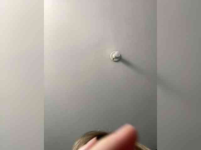 TaylorKnapp webcam