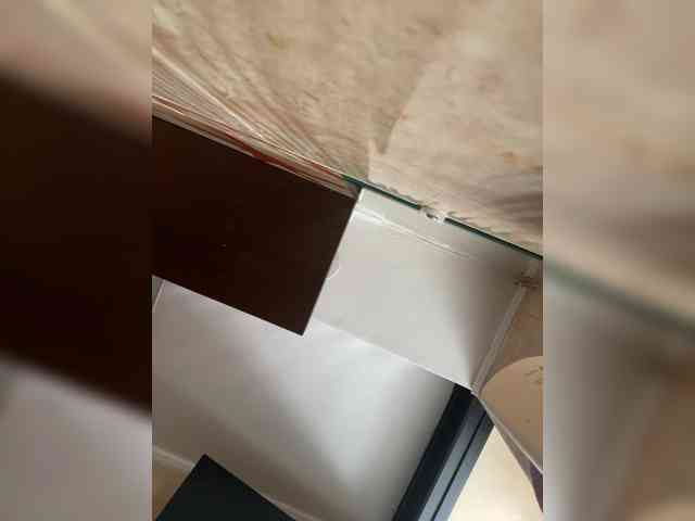 TaylorKnapp webcam