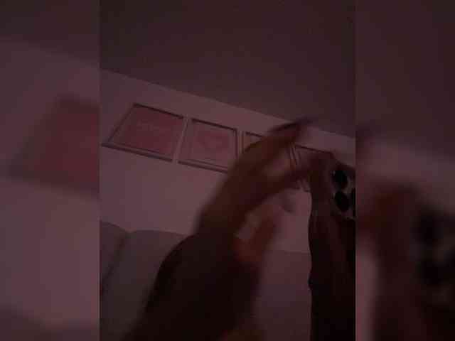 TaylorKnapp webcam