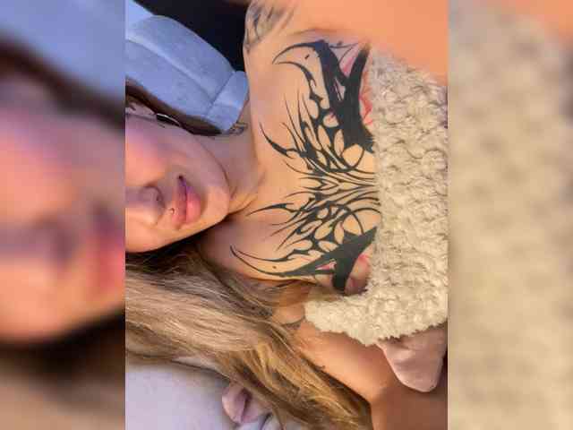 Modelo: TaylorKnapp