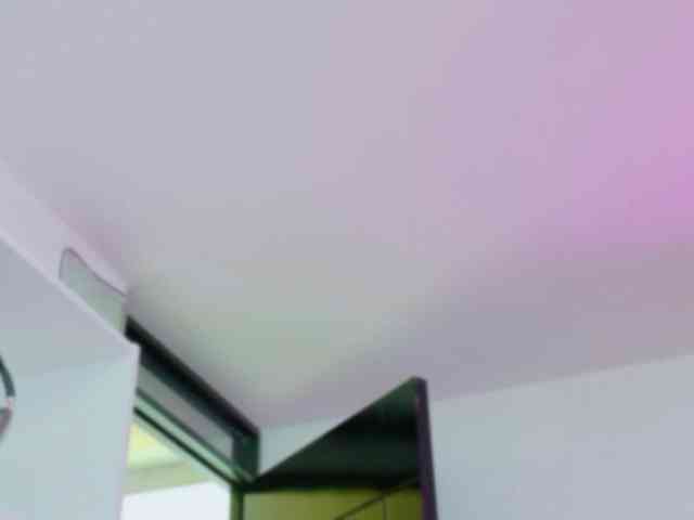 TaylorKnapp webcam