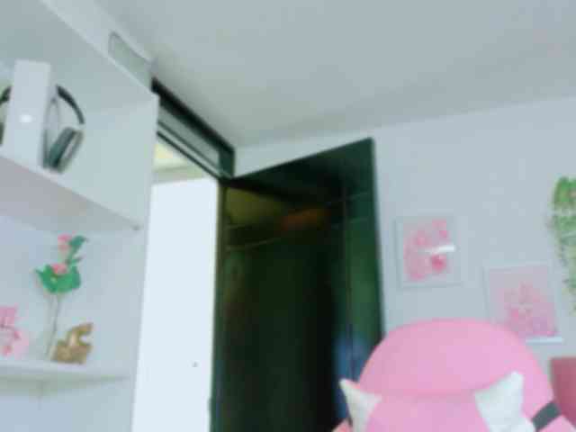 TaylorKnapp webcam