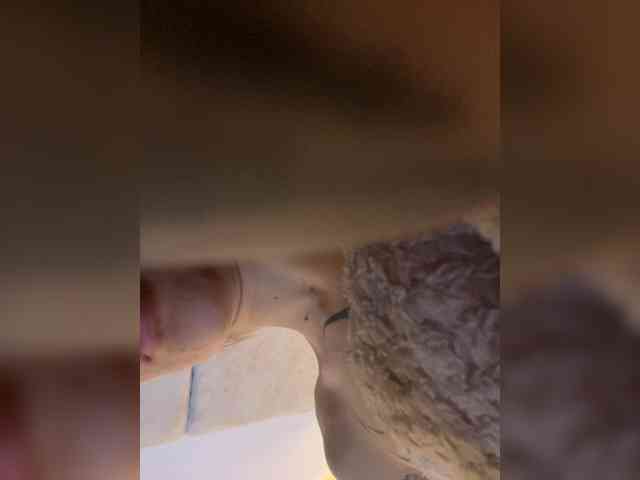 TaylorKnapp webcam