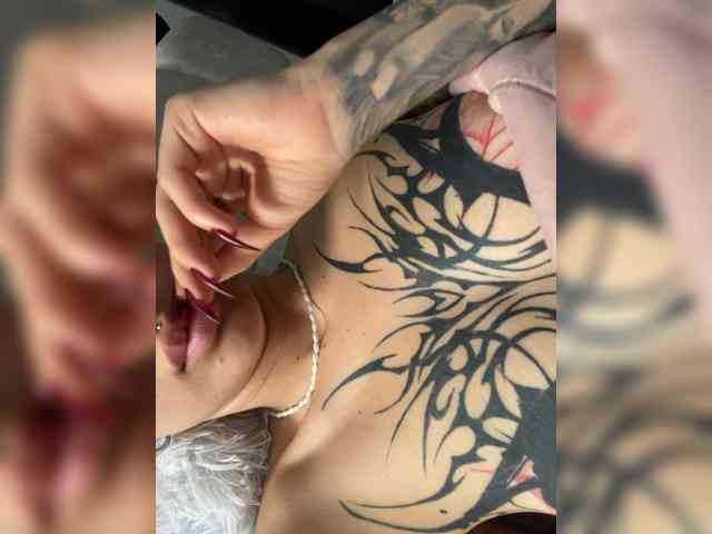 Modelo: TaylorKnapp