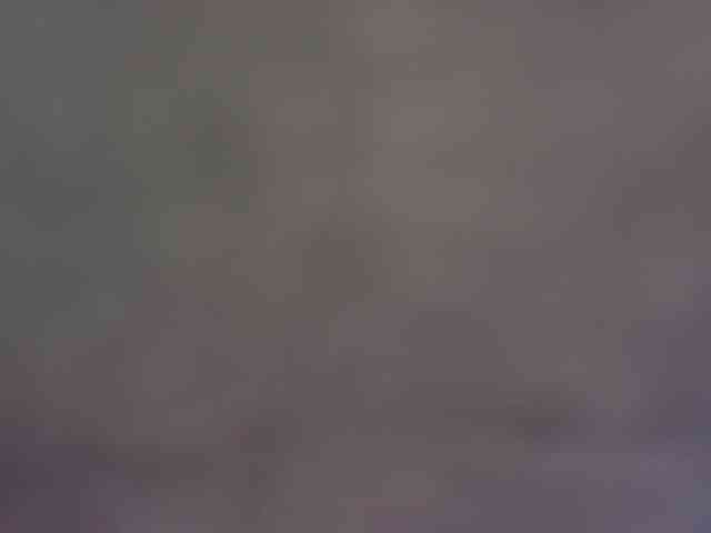erikaboom66 erikaboom66