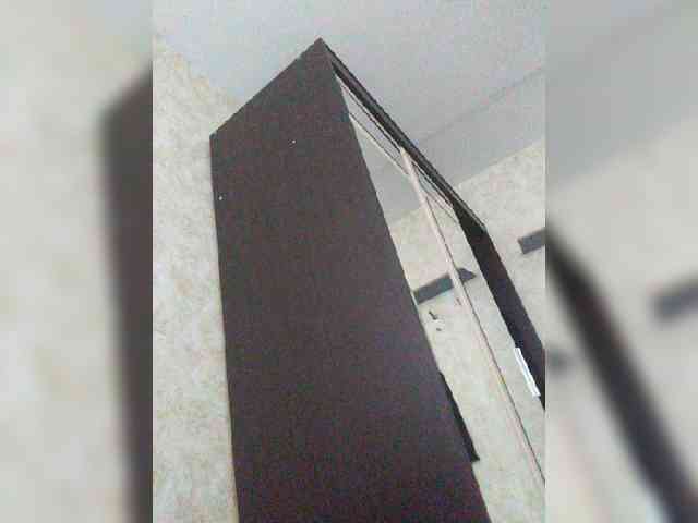 Alex33337777