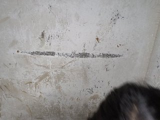 Mascotuni Porn Show