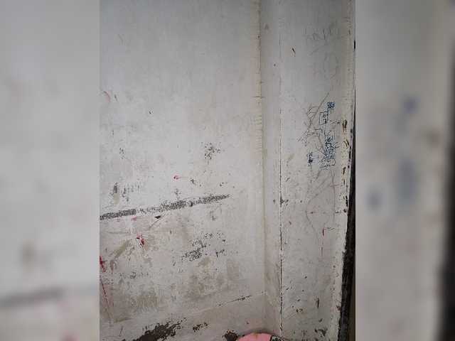 Tunnidelhi