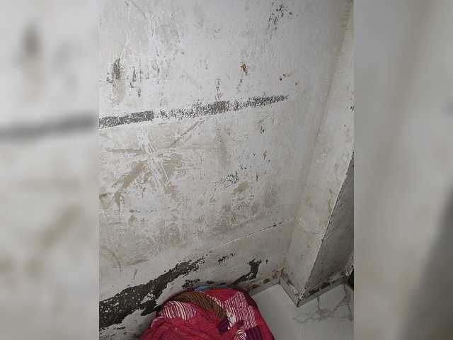 tunnidelhi live sex