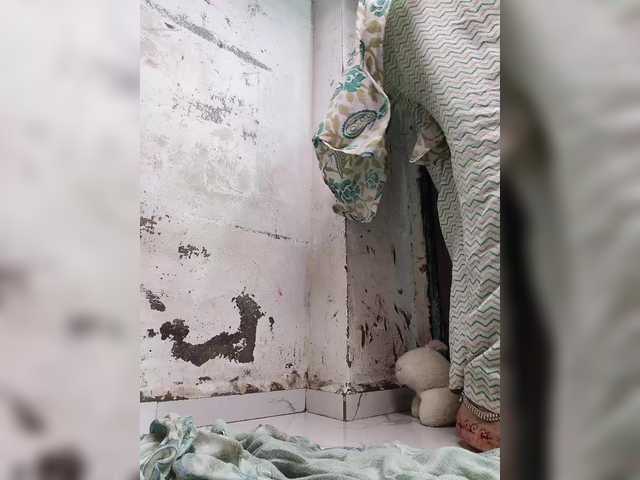 Mascotuni live webcam show