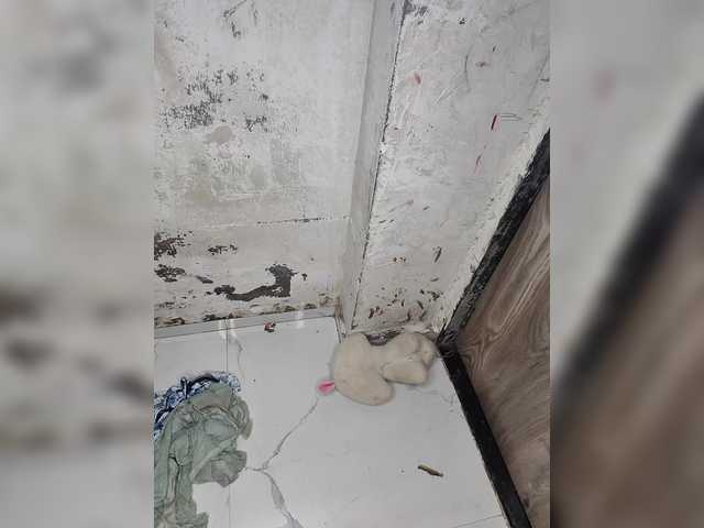 Tunnidelhi live cam