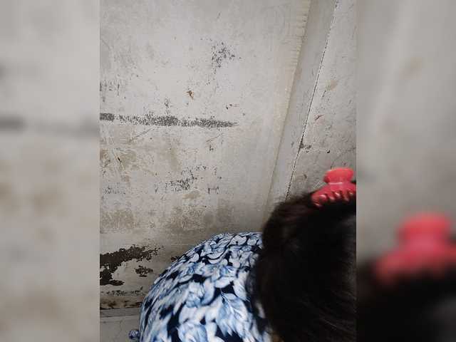 Mascotuni