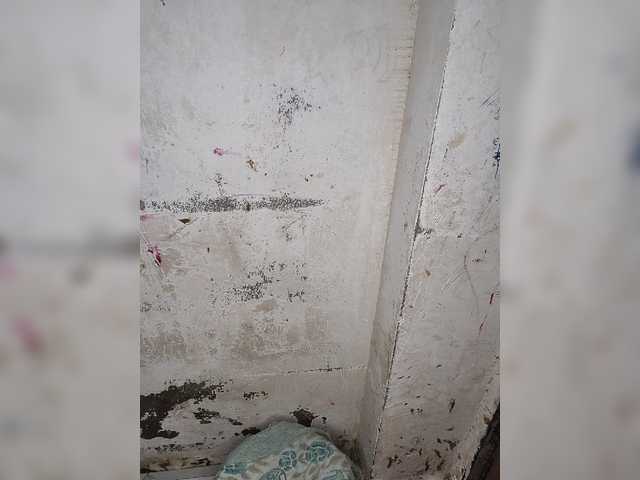 Tunnidelhi