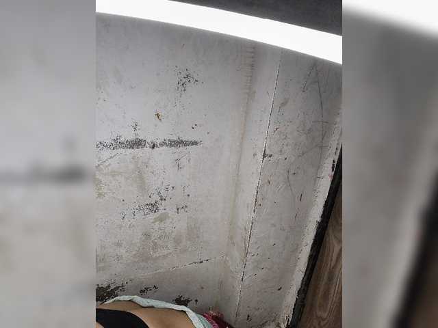 Preview of mascotuni