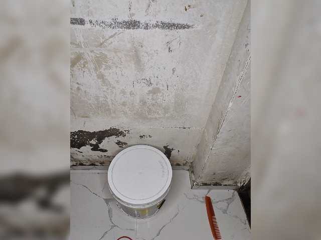 Tunnidelhi