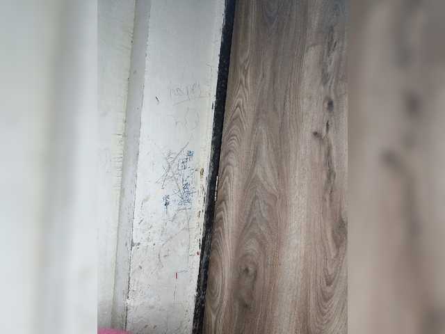 Tunnidelhi live cam