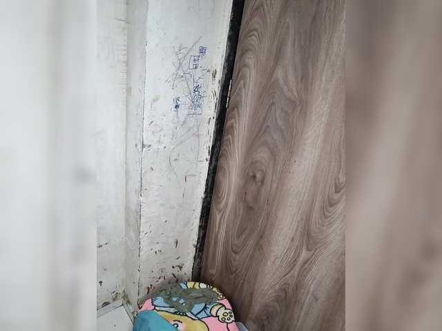 Mascotuni live webcam show