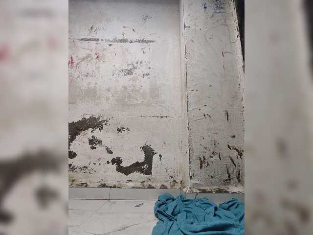 Mascotuni live webcam show