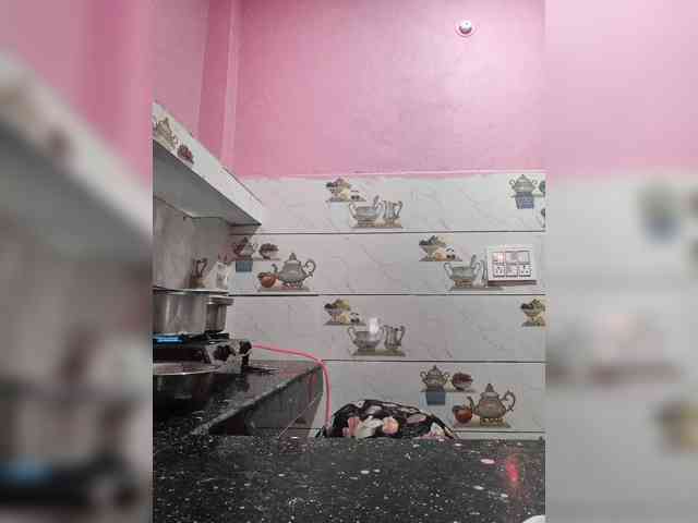 Mascotuni