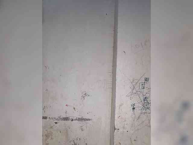 Mascotuni
