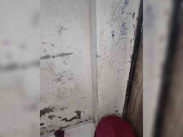 Mascotuni webcam