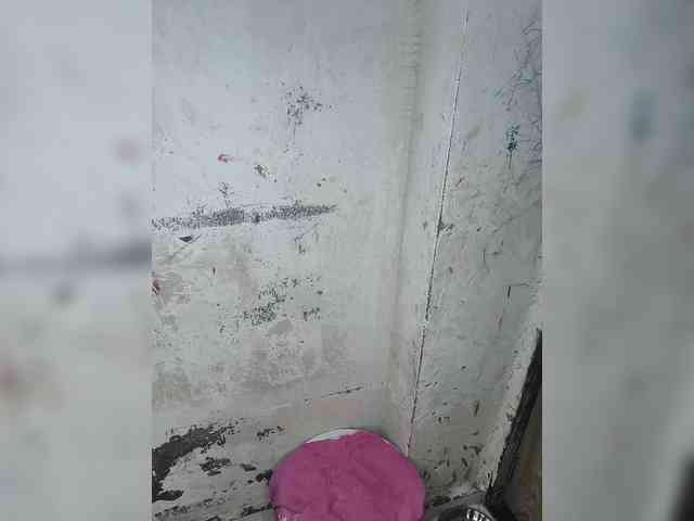 Mascotuni webcam