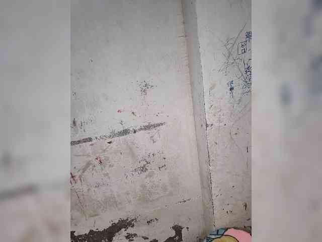 Mascotuni