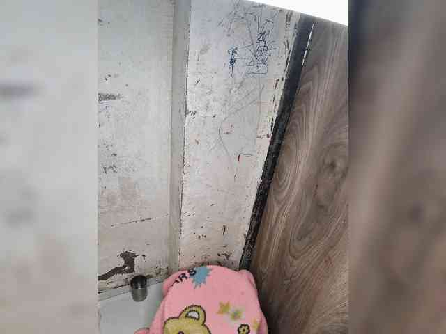 Mascotuni webcam