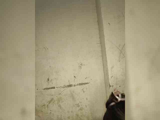 Mascotuni webcam