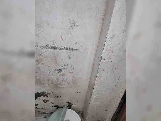 Mascotuni webcam