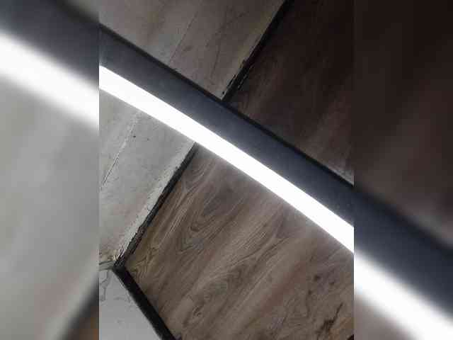 Mascotuni webcam