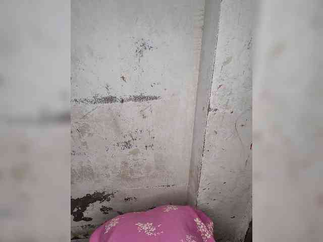 Mascotuni webcam