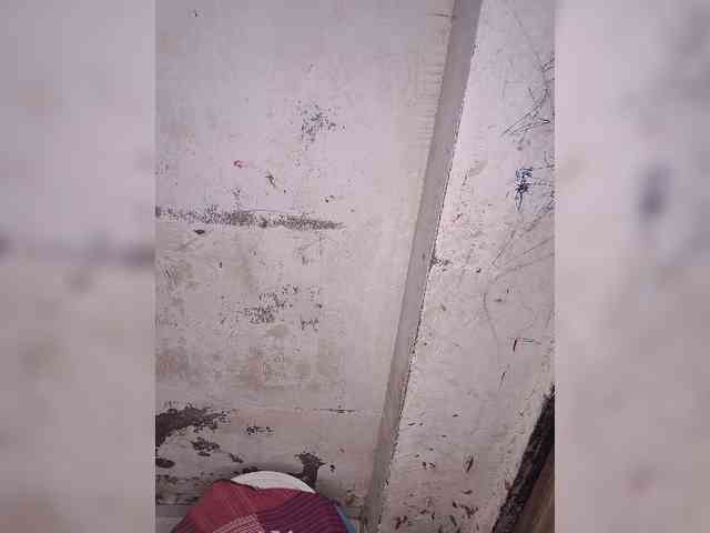 Mascotuni webcam
