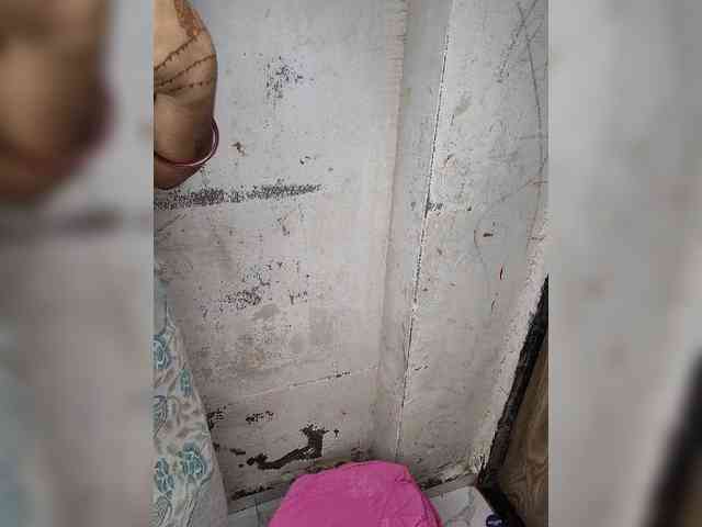 Mascotuni webcam