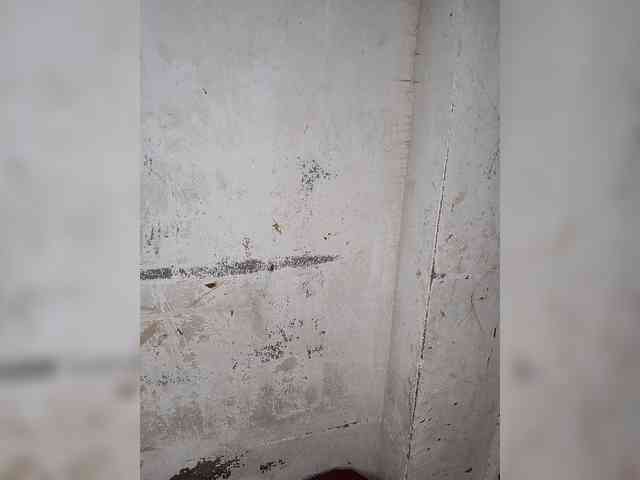 Mascotuni webcam