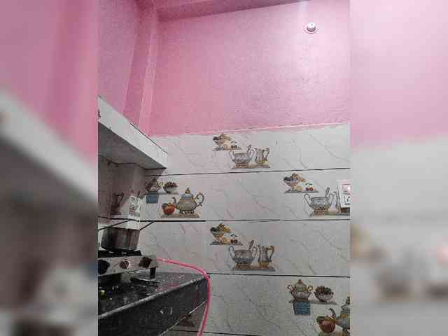 Mascotuni webcam