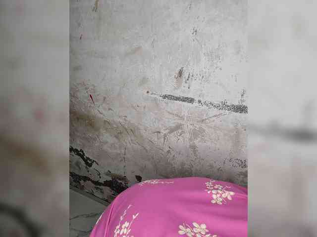 Mascotuni webcam