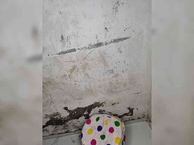 Mascotuni webcam
