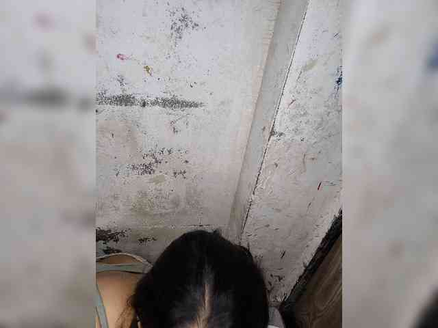 Mascotuni webcam