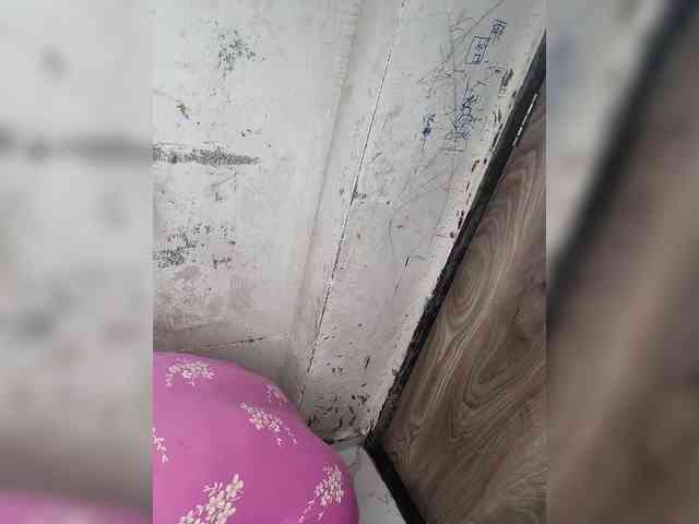 Mascotuni webcam